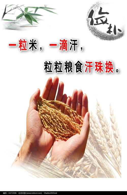 怎么购买南达科他州驾照